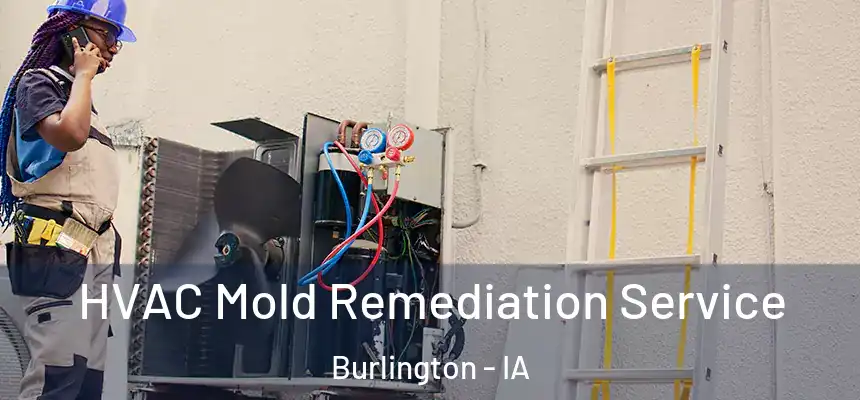  HVAC Mold Remediation Service Burlington - IA
