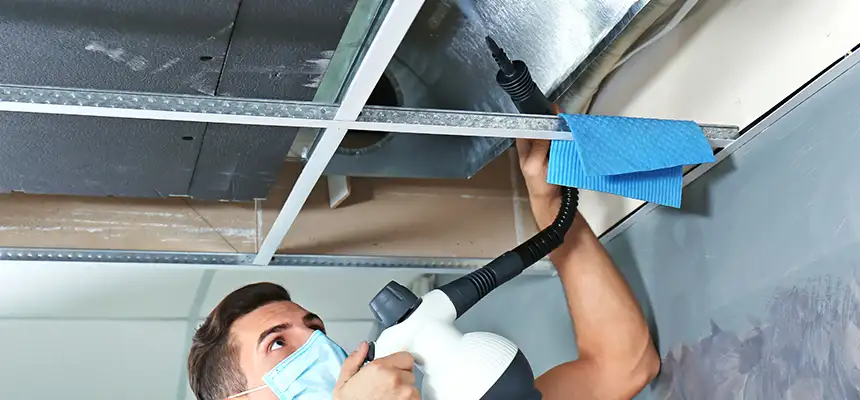 Our Air Duct Rodent Removal Services in Burlington, IA