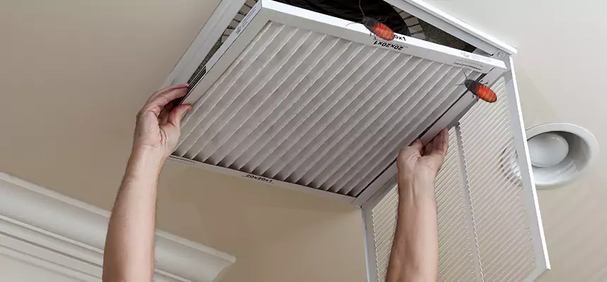 Our Insect Removal from Air Ducts Services in Burlington, IA