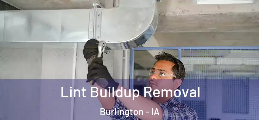  Lint Buildup Removal Burlington - IA