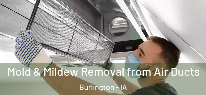  Mold & Mildew Removal from Air Ducts Burlington - IA