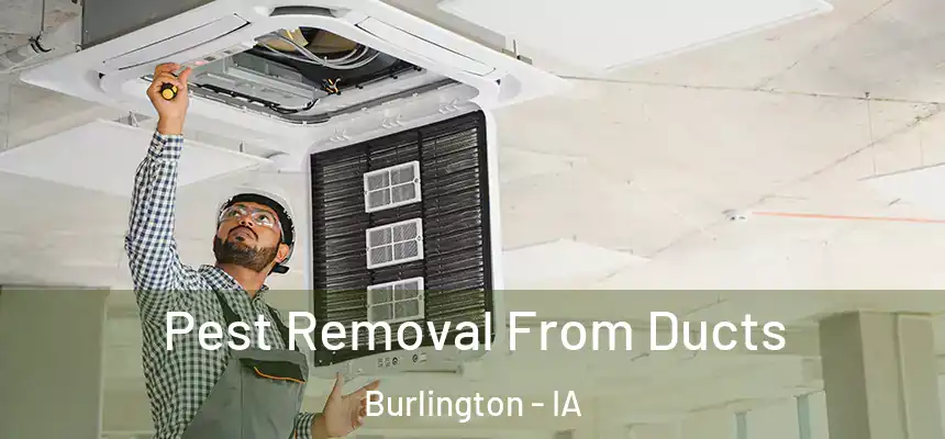  Pest Removal From Ducts Burlington - IA