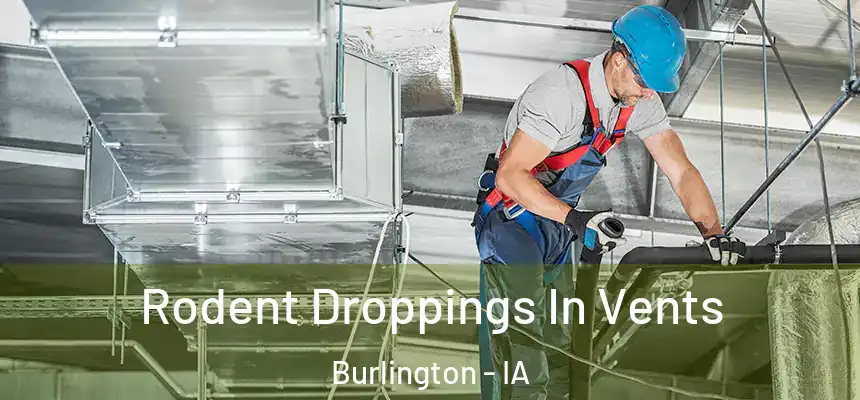 Rodent Droppings In Vents Burlington - IA