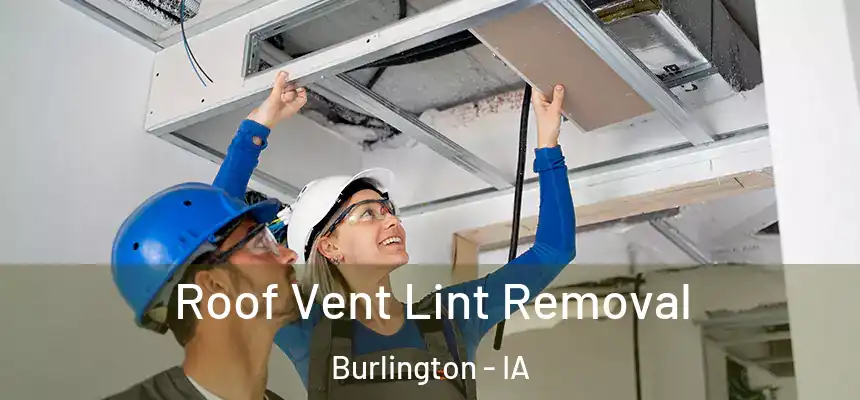  Roof Vent Lint Removal Burlington - IA