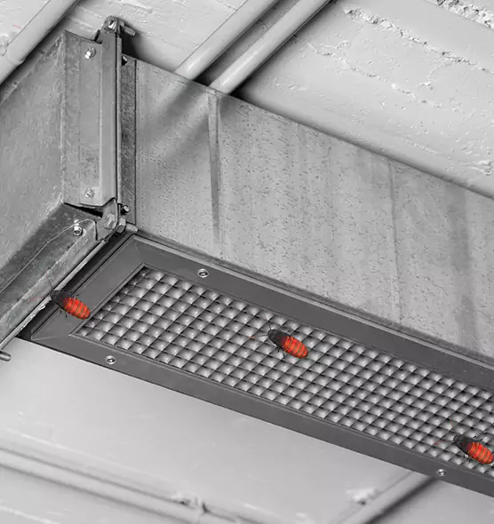 Affordable Insect Removal from Air Ducts in Burlington, IA