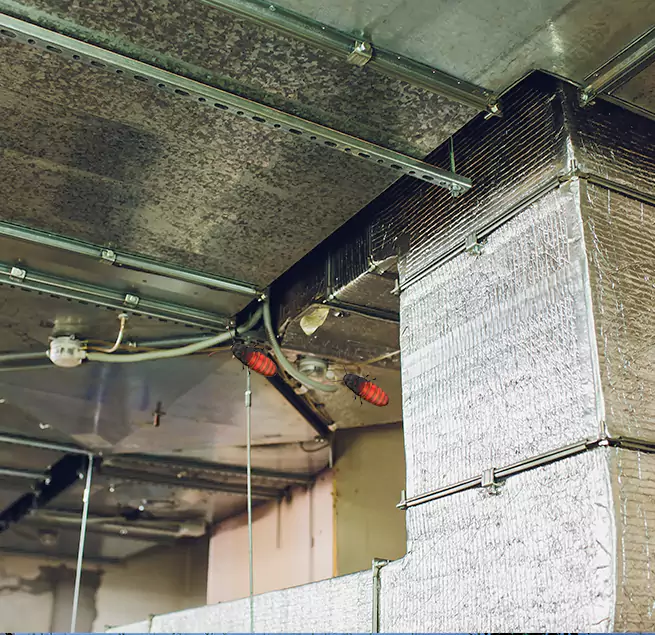 Why Homeowners & Businesses Trust Us in Burlington, IA?