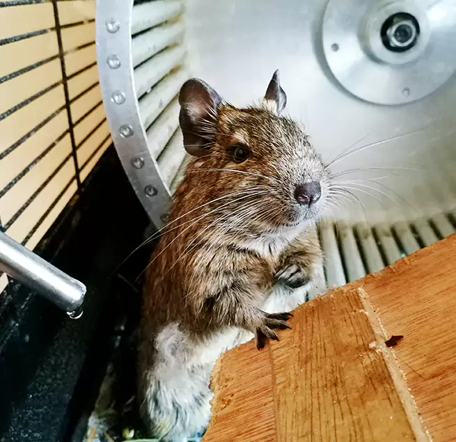 Why Homeowners & Businesses Trust Us Burlington, IA