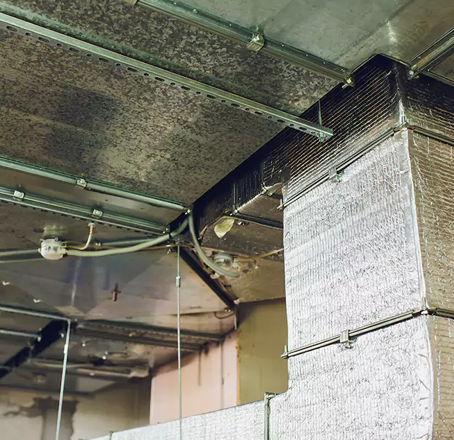 Why Homeowners & Businesses Trust Us in Burlington, IA?