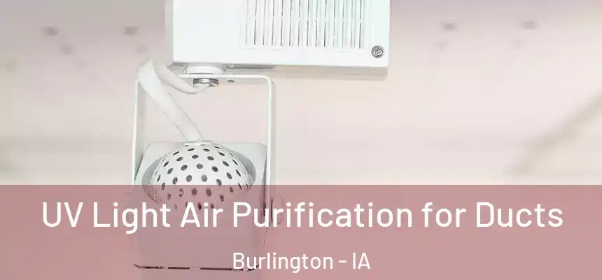  UV Light Air Purification for Ducts Burlington - IA